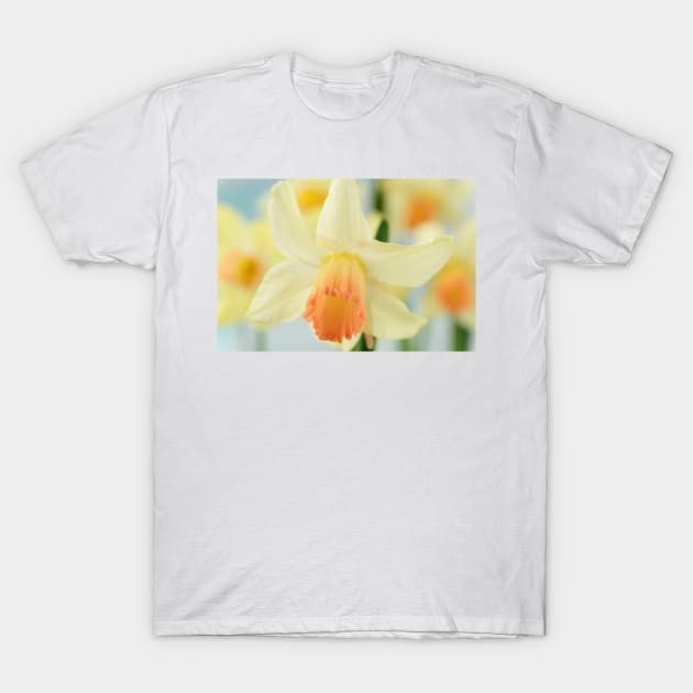 Narcissus  &#39;Prototype&#39;   Division 6 Cyclamineus Daffodil T-Shirt by chrisburrows